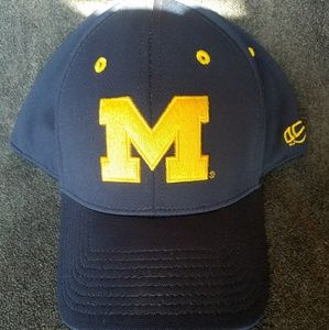 Michigam Wolverines Cap
